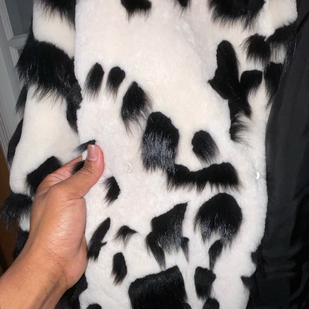 2025 Bottega Veneta Dalmation Shearling Coat - NY Residence 1of1 (New With Tags) - Picture 11 of 13